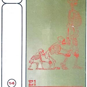 EL EVOLUCIONISMO